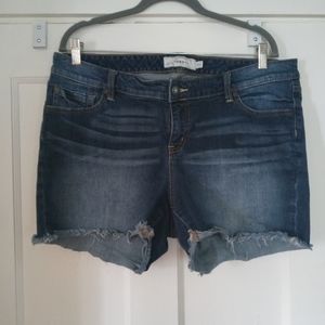 Torrid jean shorts